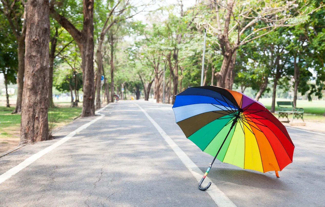 Фото обои дорога, лето, деревья, парк, радуга, зонт, colorful, rainbow
