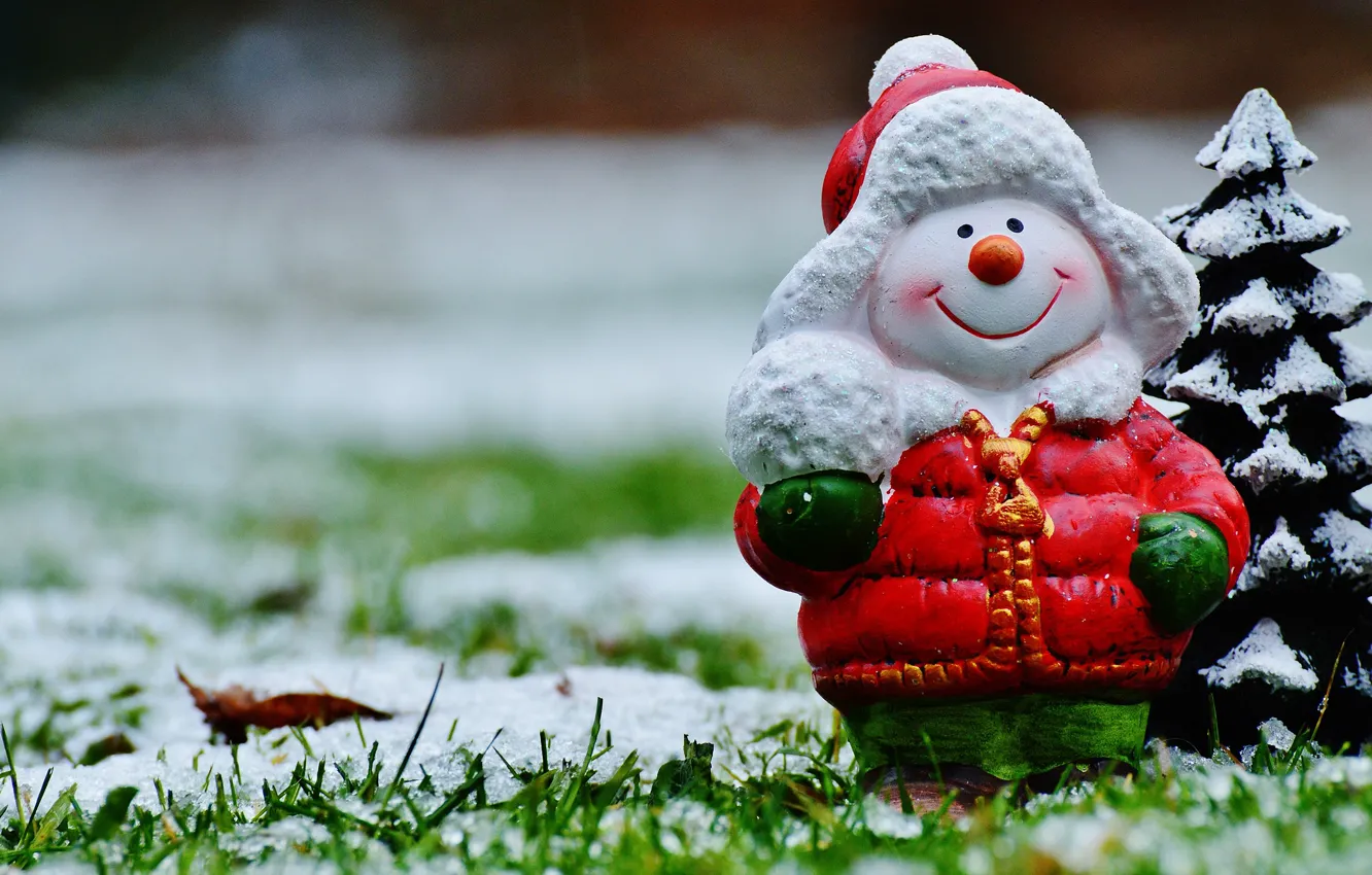 Фото обои трава, снег, улыбка, праздник, игрушка, новый год, рождество, куртка