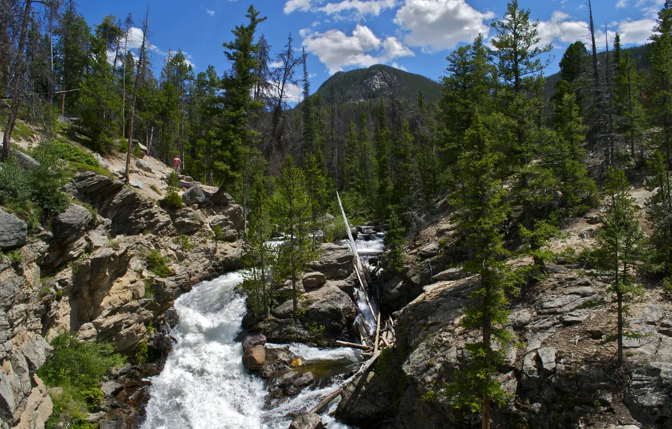 Фото обои деревья, горы, природа, парк, фото, США, водопады, Rocky Mountain