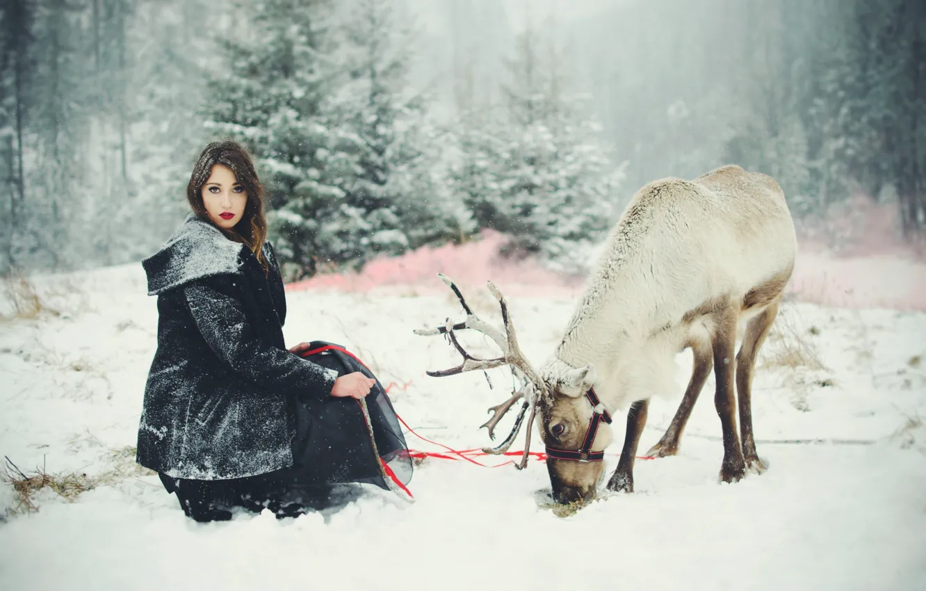 Фото обои зима, девушка, олень