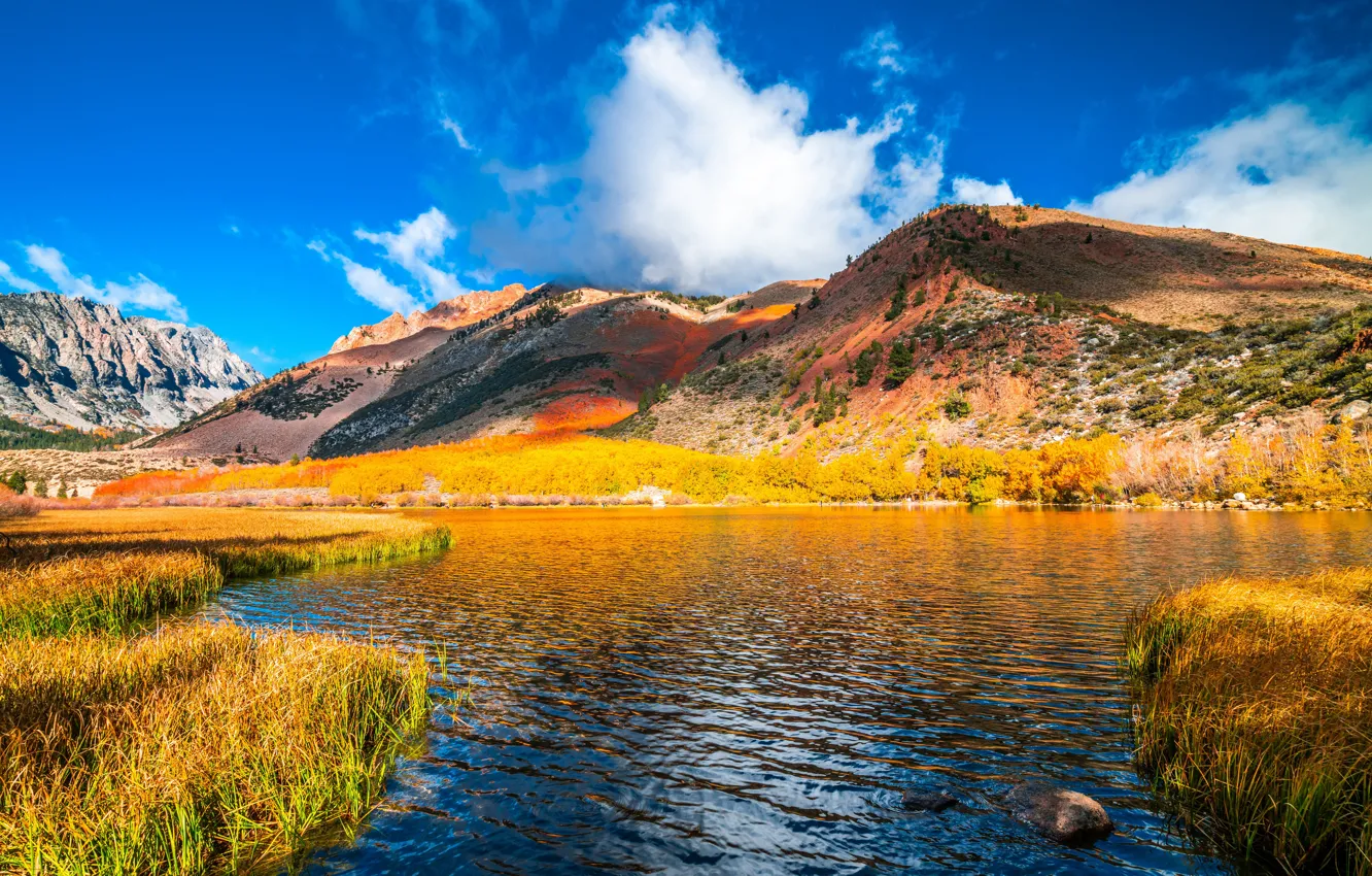 Фото обои осень, горы, США, North Lake
