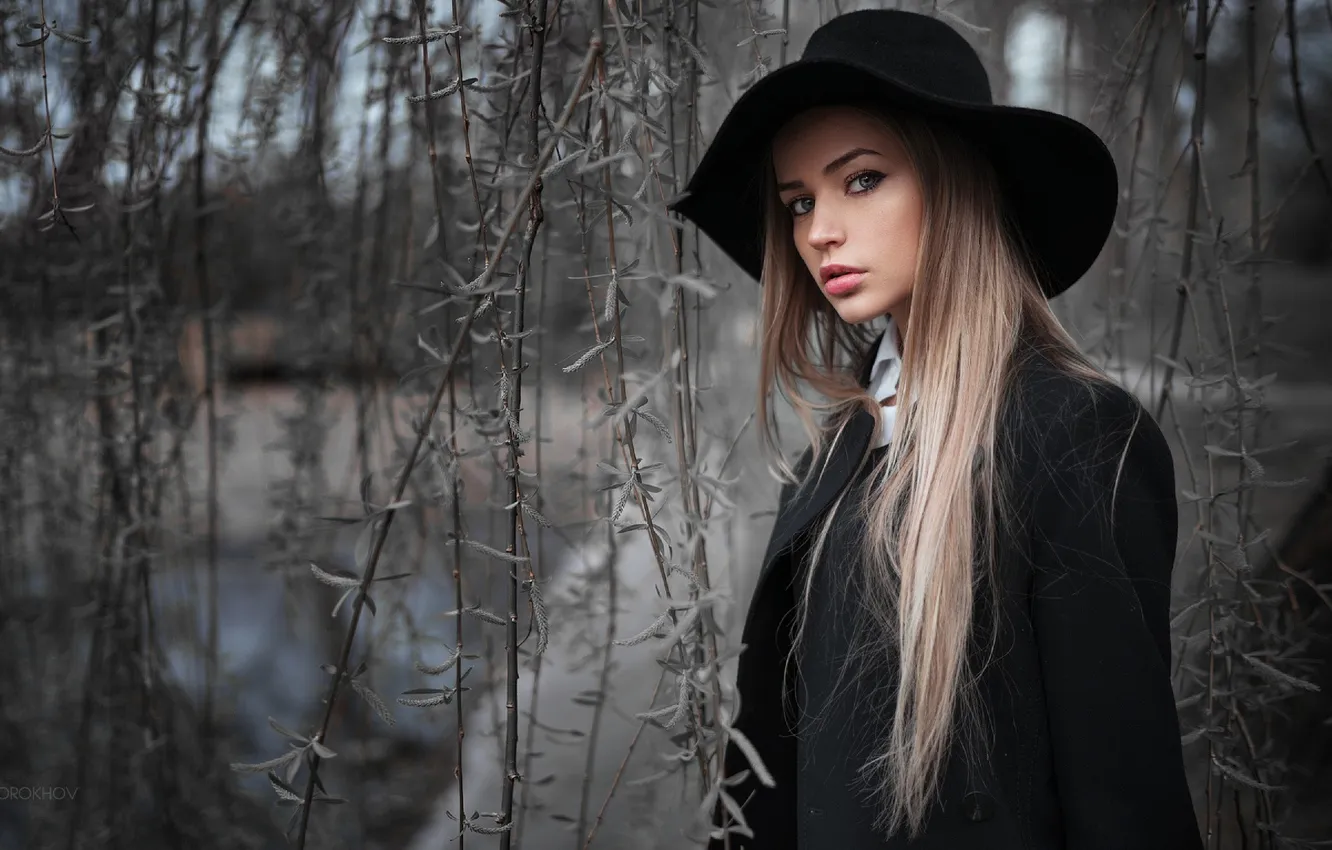 Фото обои взгляд, ветви, плащ, красивая девушка, черная шляпа