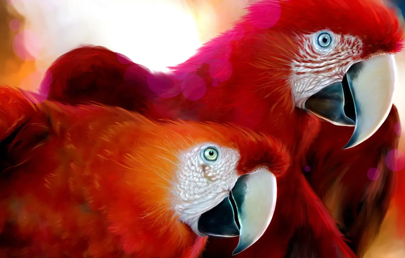 Фото обои Красный, Рисунок, Ара, попугай