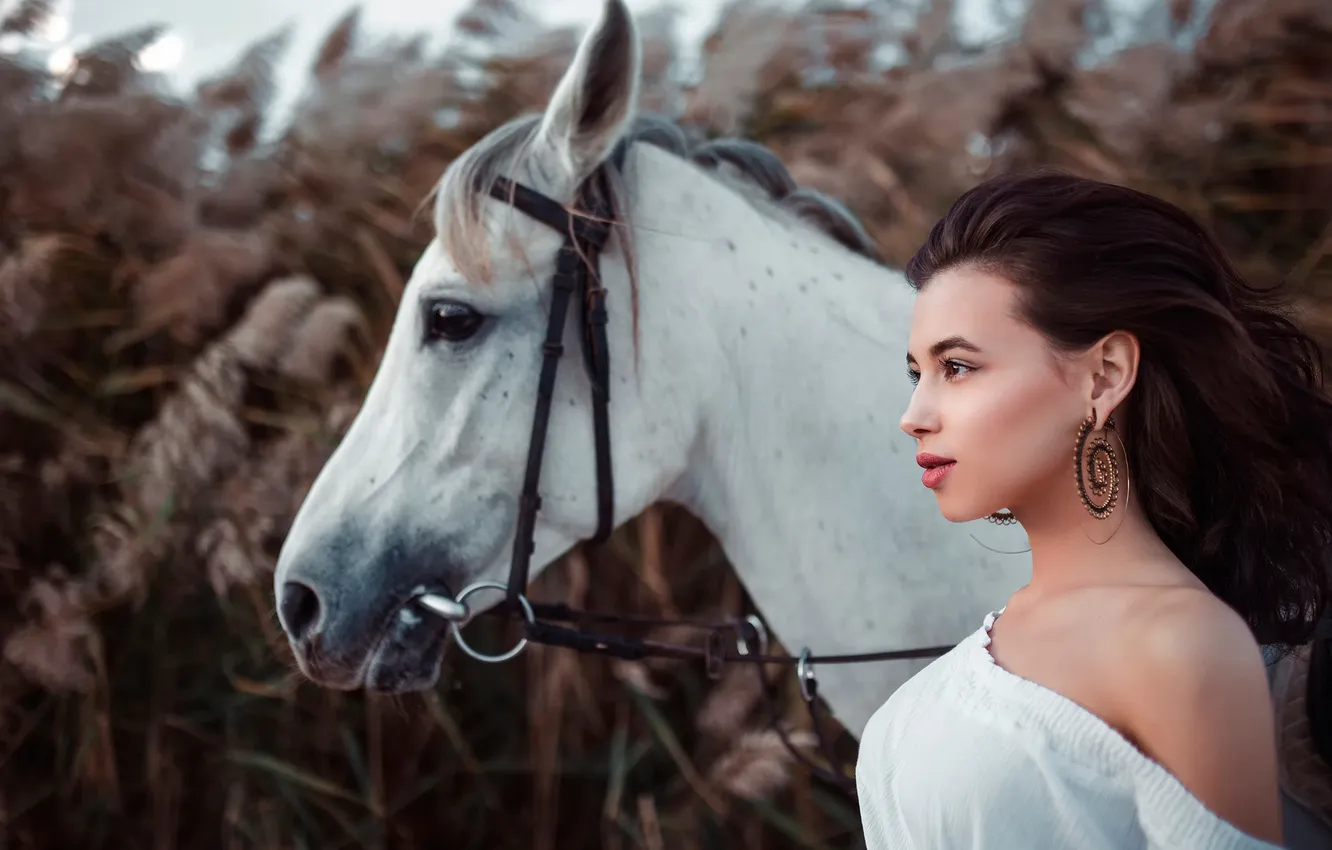 Фото обои девушка, конь, Aliya Lando, Ivan Gorokhov