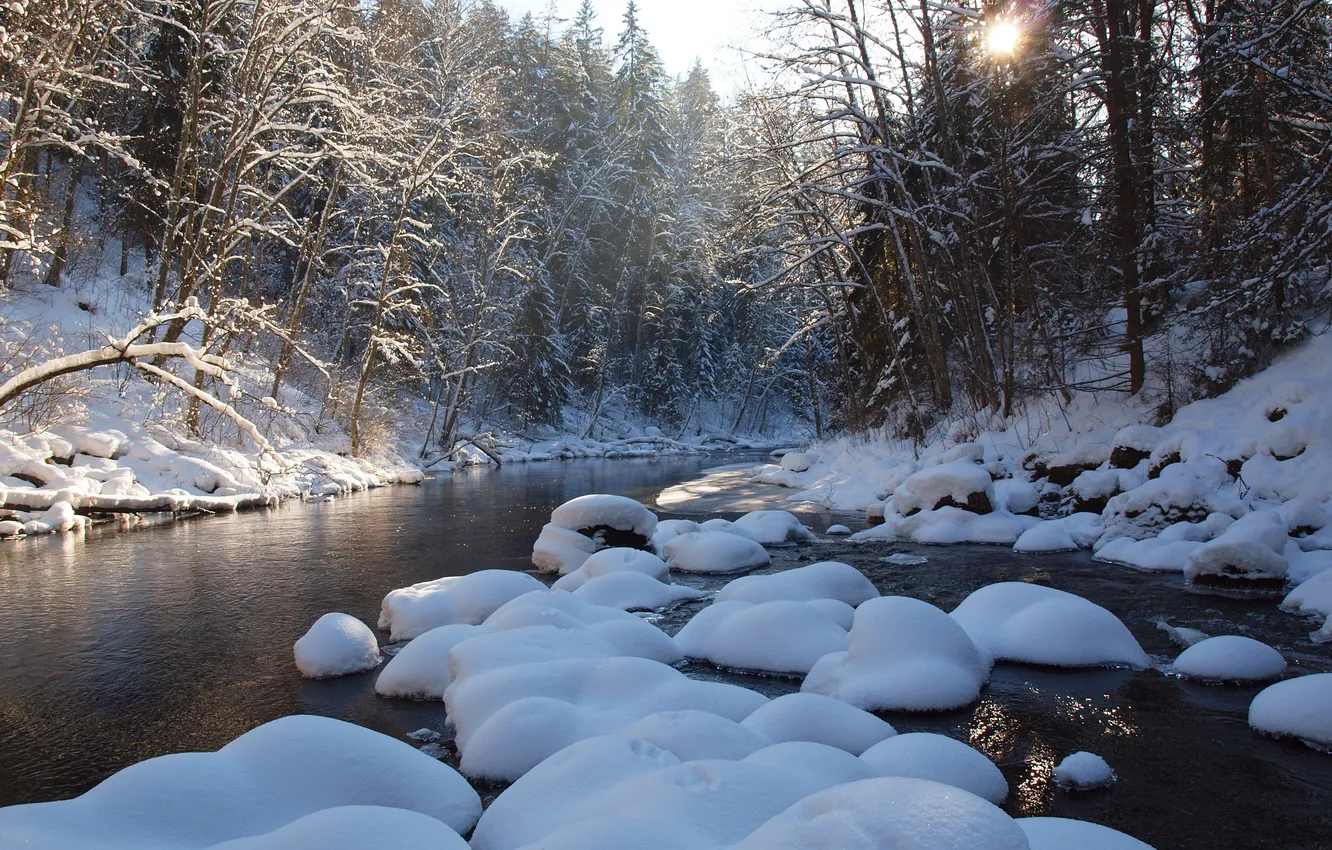 Фото обои зима, лес, небо, снег, деревья, закат, река, камни