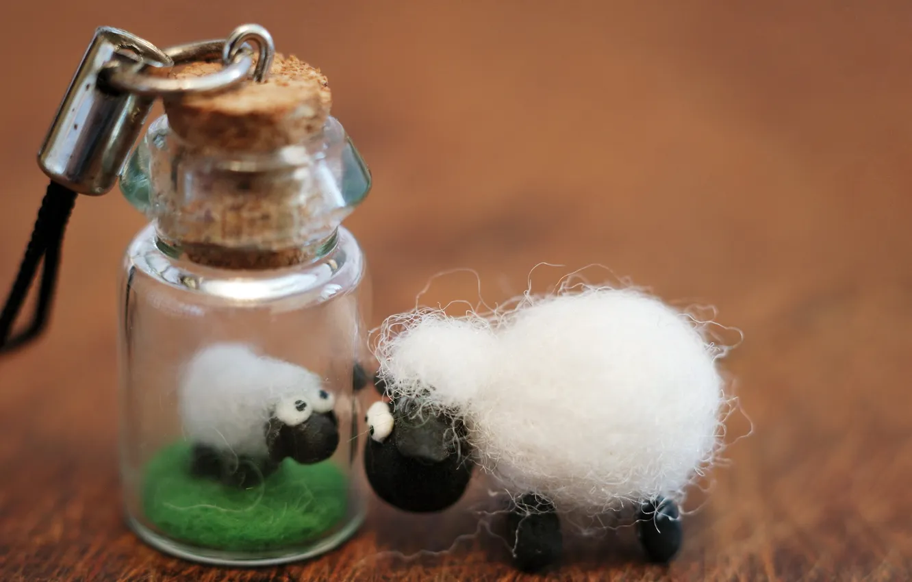 Фото обои toy, macro, sheep, bottle
