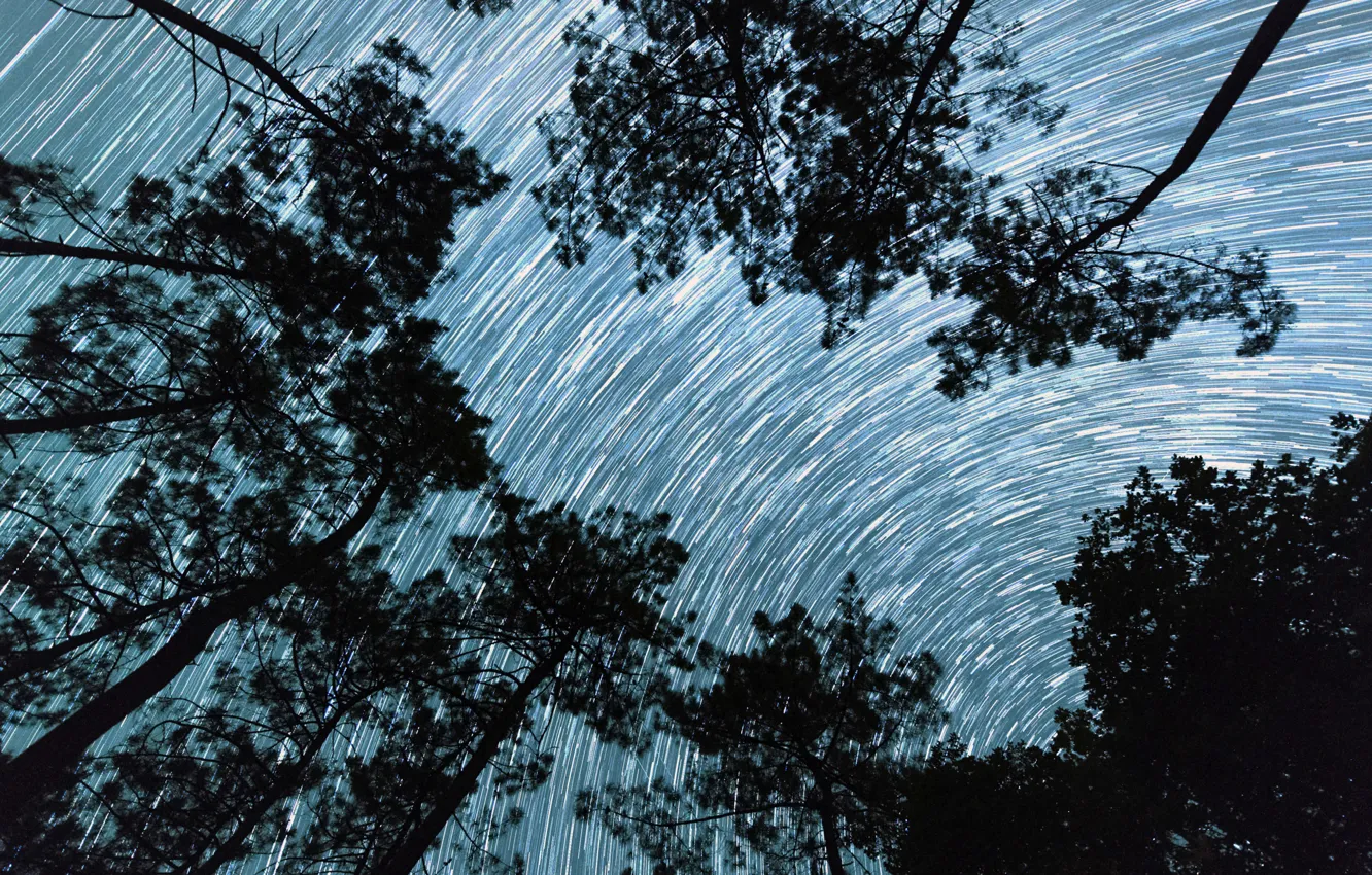 Фото обои деревья, Франция, звёзды, Дордонь