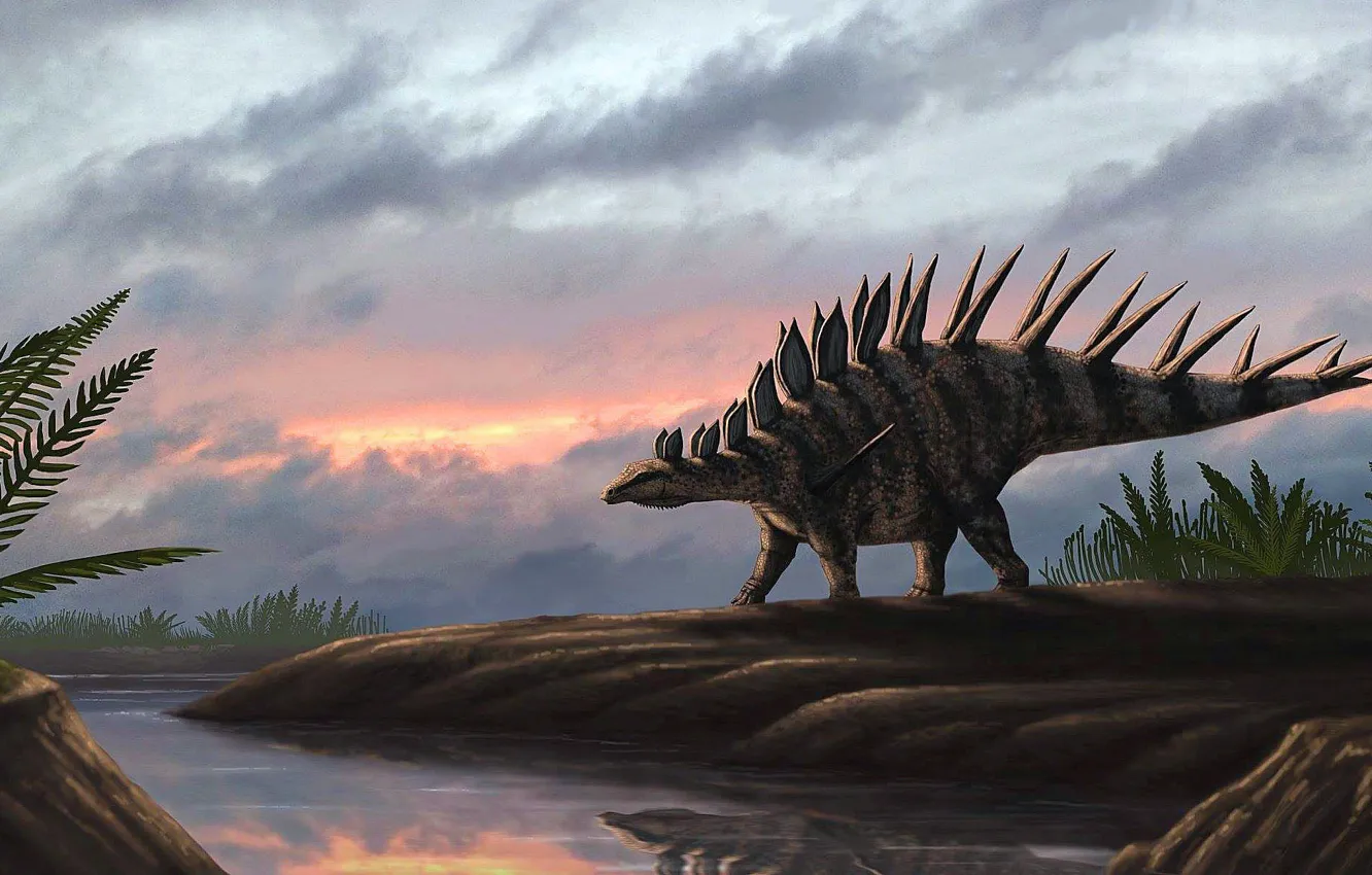 Фото обои Динозавр, Древние животные, Вымершие животные, Kentrosaurus aethiopicus, Кентрозавр
