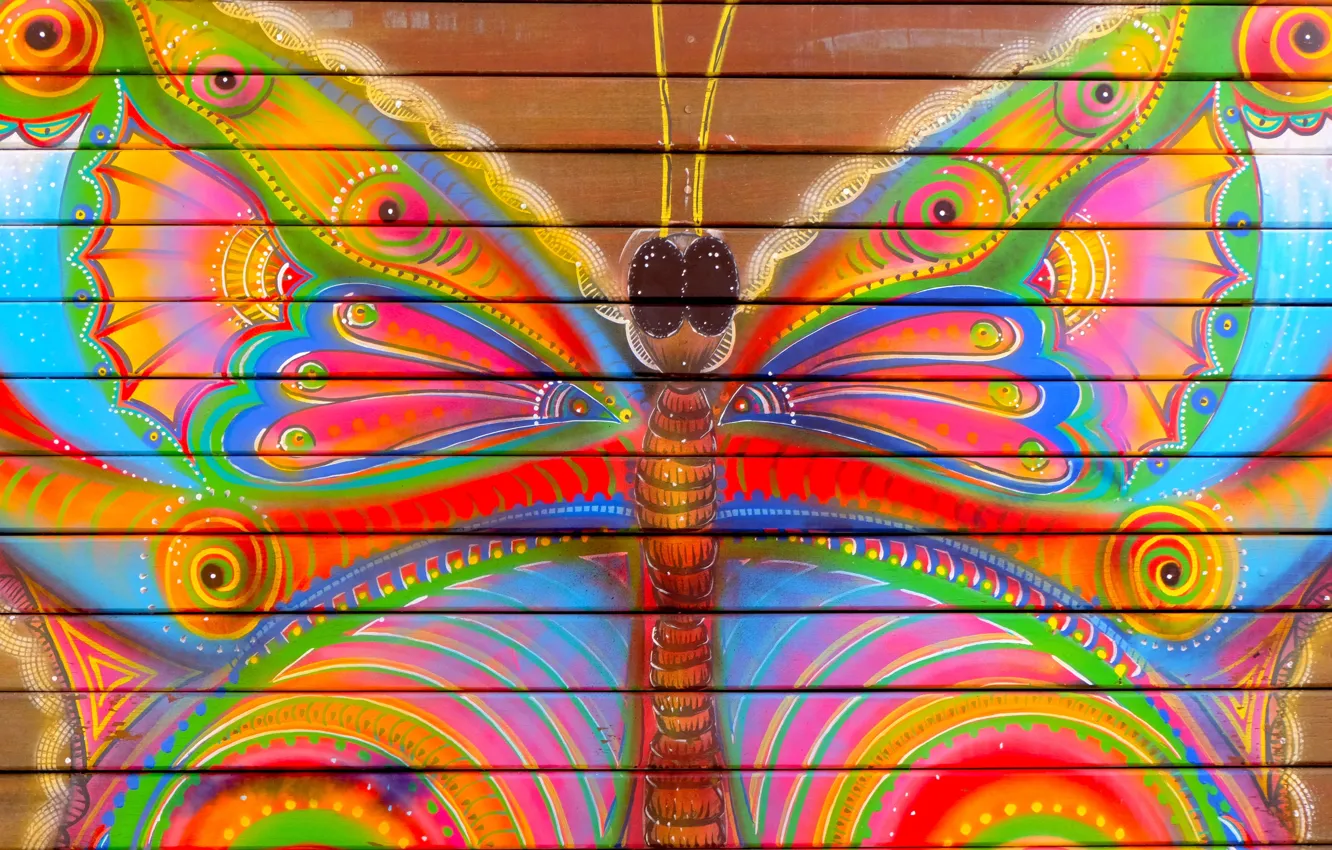 Фото обои бабочка, забор, цвет, Краска