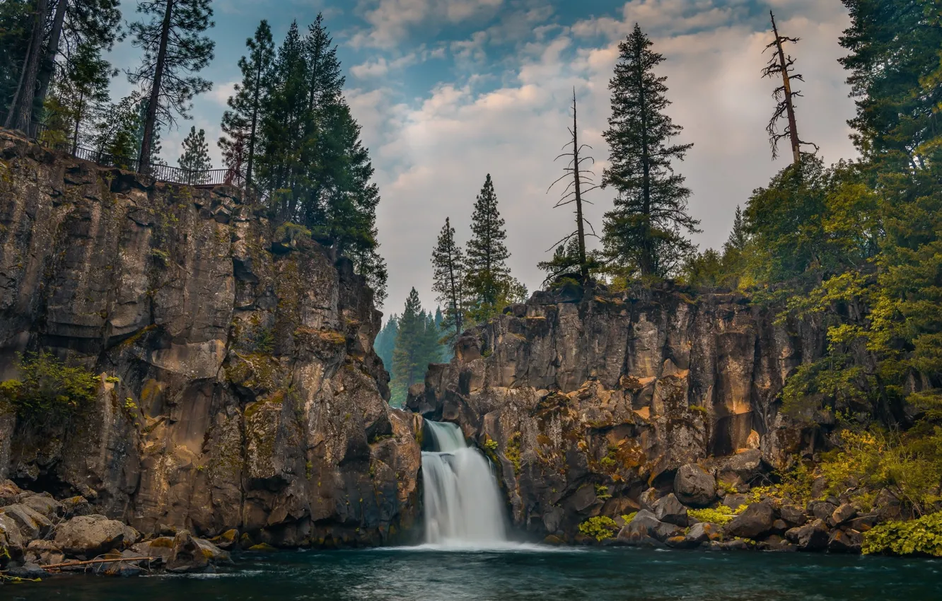 Фото обои лес, природа, скала, водопад, California, Upper McCloud Falls