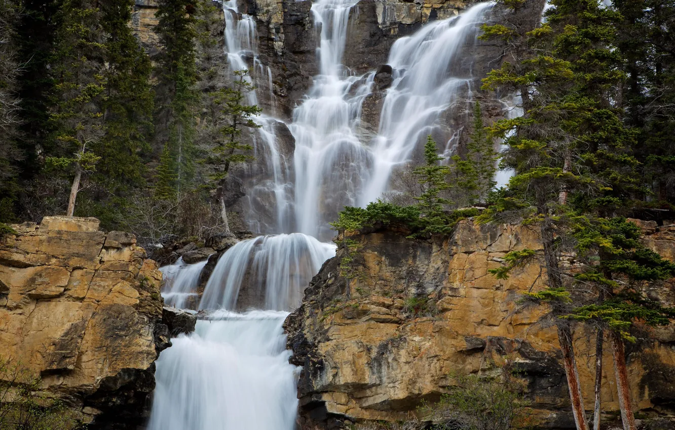Фото обои деревья, скалы, водопад, Канада, Альберта, Alberta, Canada, каскад