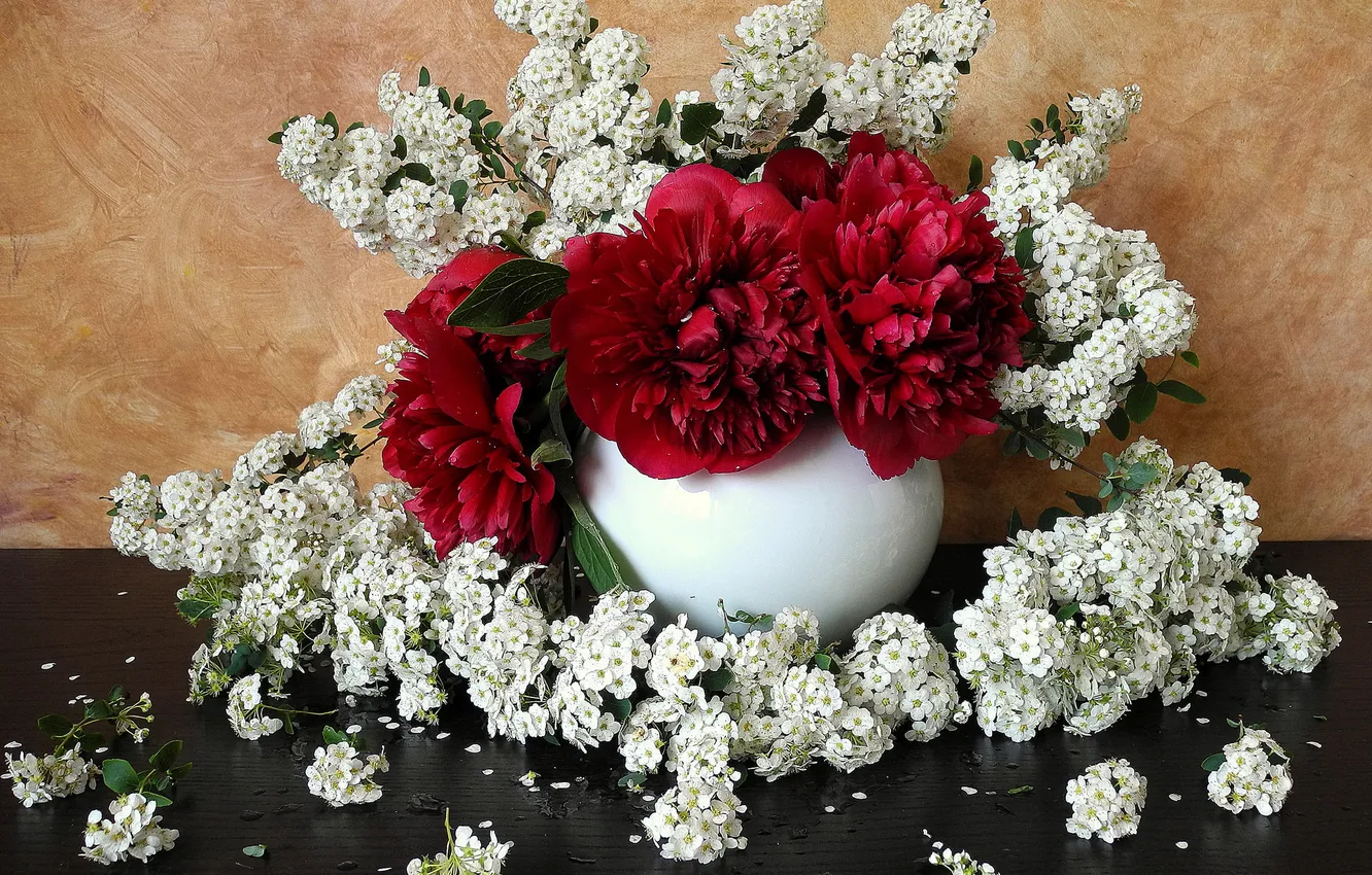 Фото обои цветы, фото, ваза, пионы