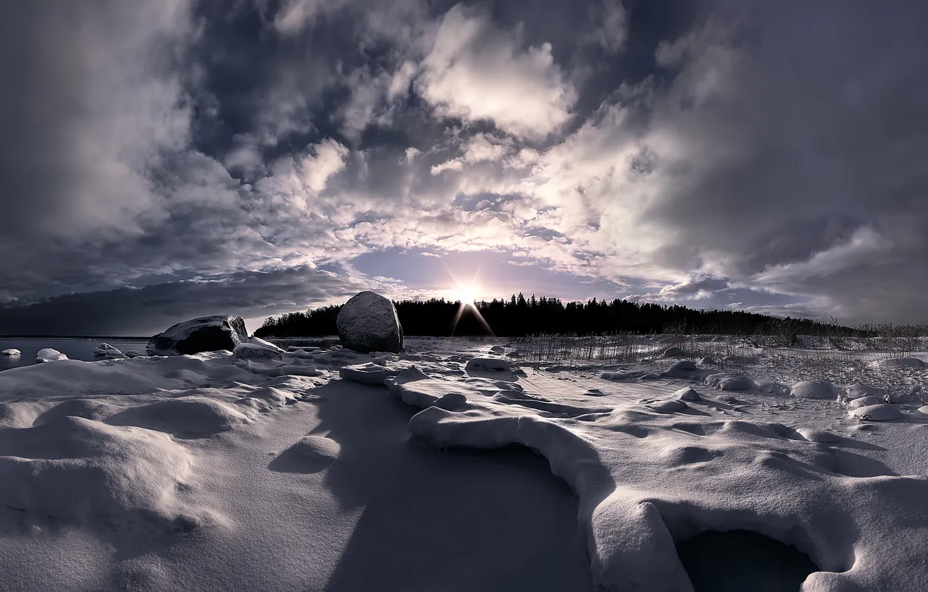 Фото обои nature, winter, snow