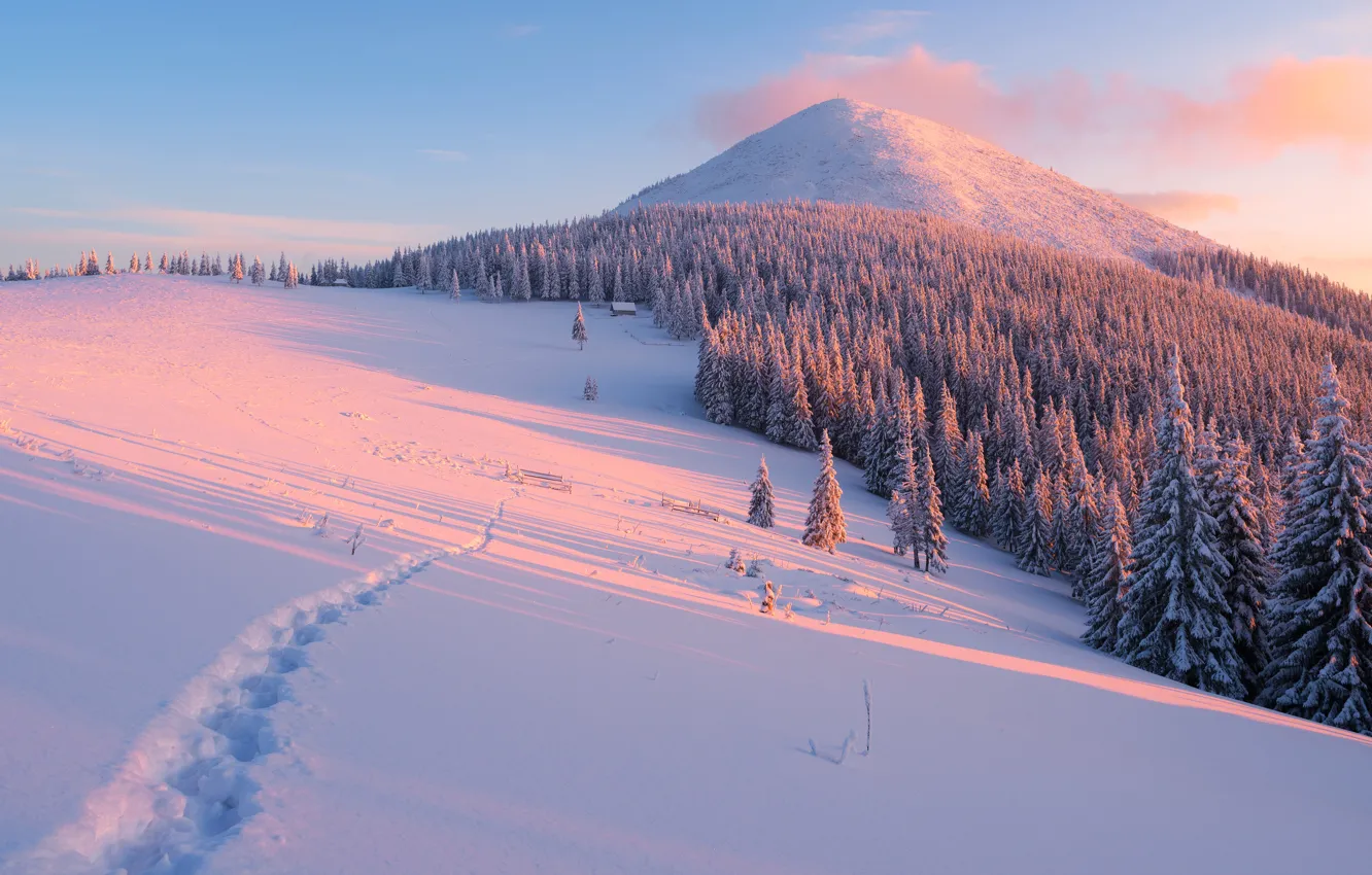 Фото обои зима, лес, облака, лучи, свет, снег, пейзаж, горы