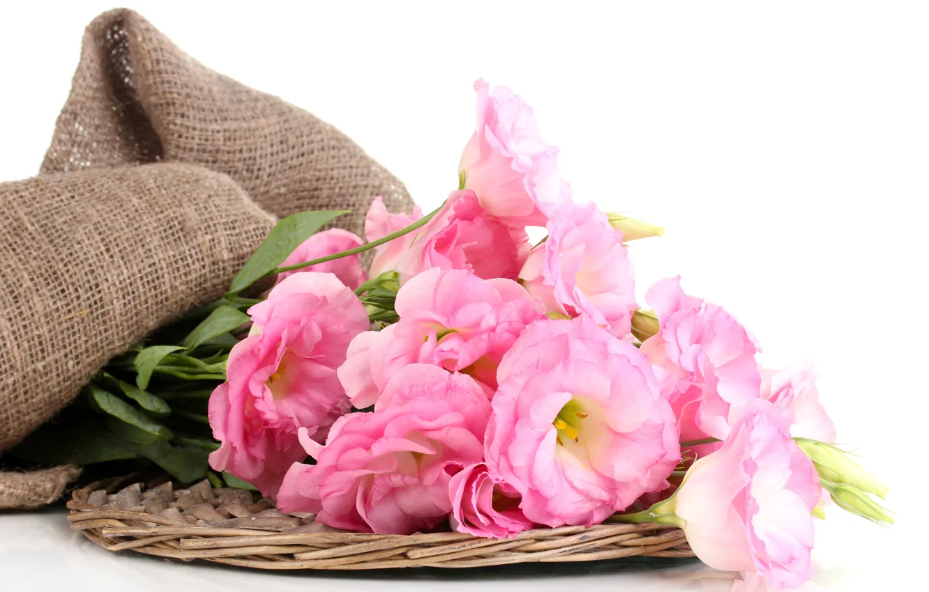 Фото обои цветы, розовые, fresh, pink, flowers, bouquet