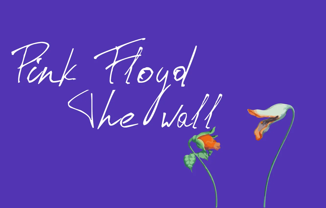 Фото обои цветы, сиреневый, Pink Floyd, The wall