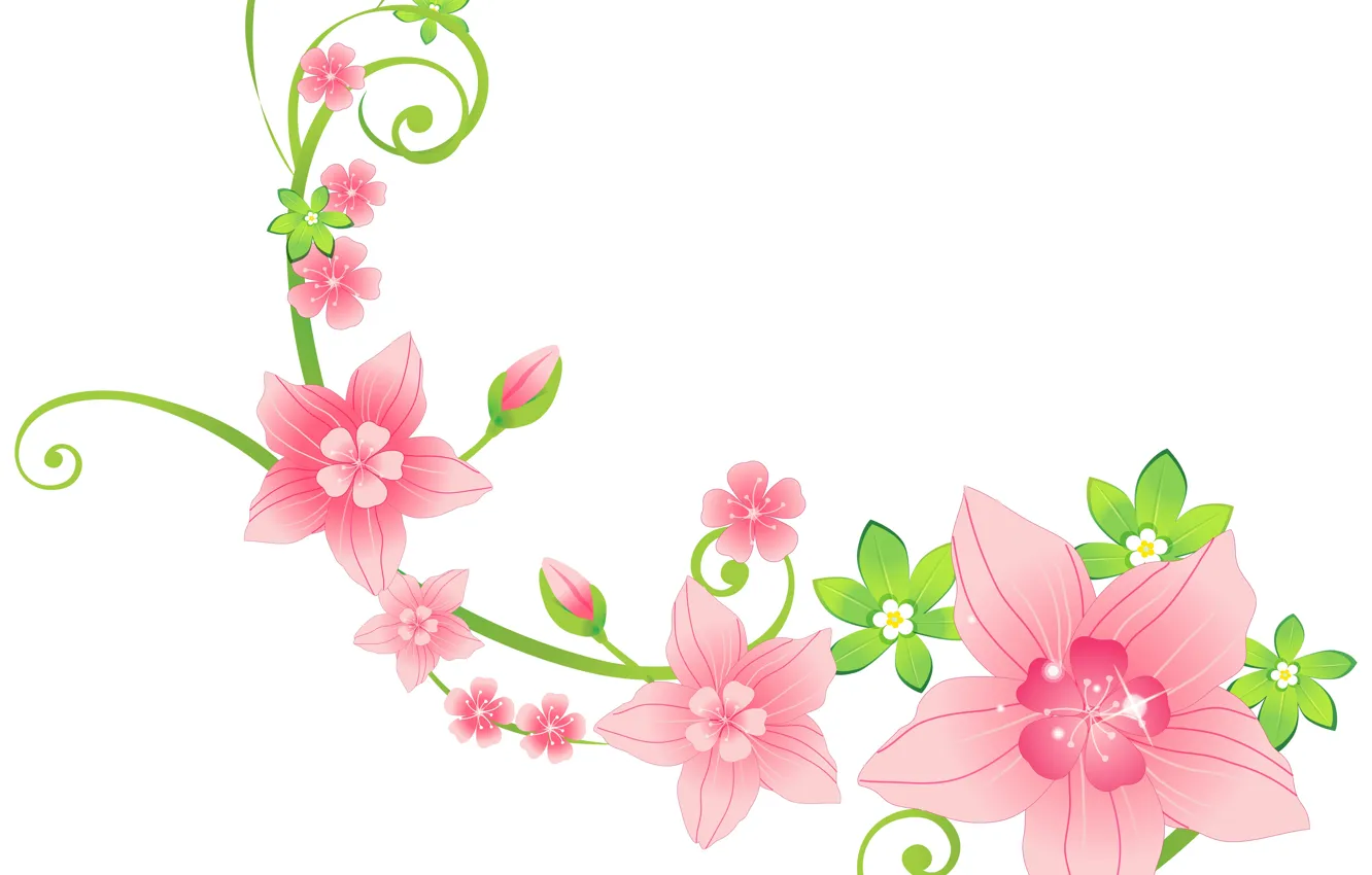 Фото обои цветы, завитки, белый фон