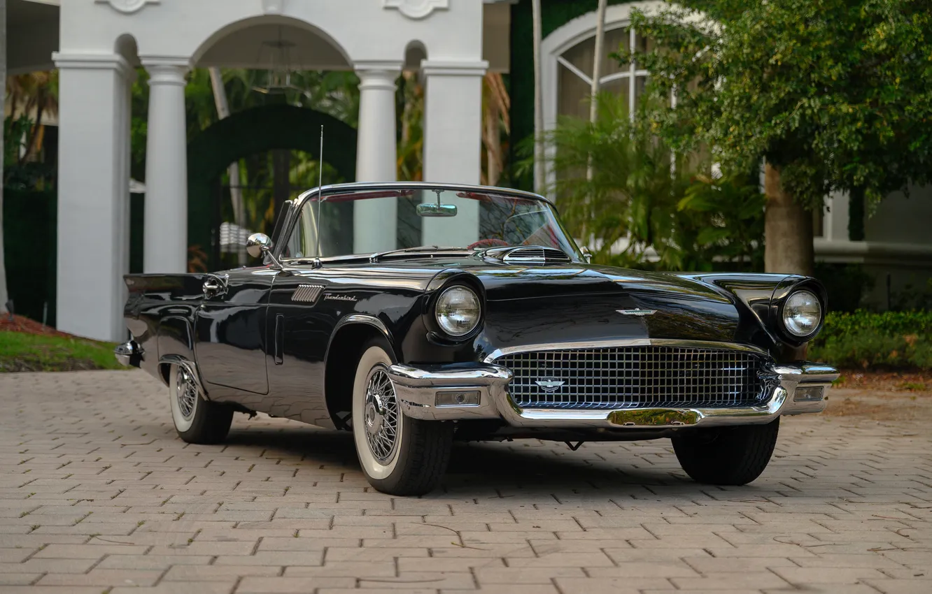 Фото обои Ford, Форд, 1957, ретро автомобили, Thunderbird, retro cars, Ford Thunderbird E-Code, E-Code