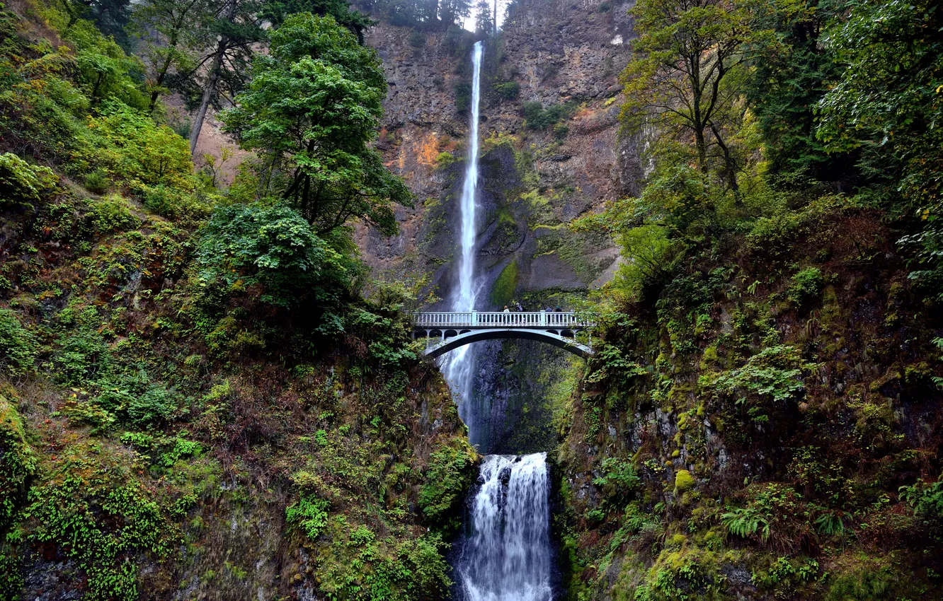 Фото обои мост, скалы, водопад, США, Oregon, Columbia River, Benson Bridge, Multnomah Falls