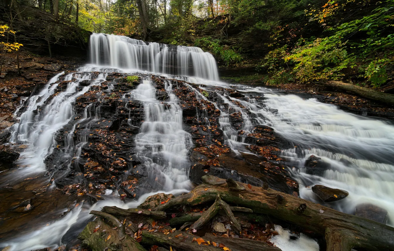 Фото обои осень, лес, водопад, Пенсильвания, каскад, Pennsylvania, Ricketts Glen State Park, Парк штата Рикетс Глен
