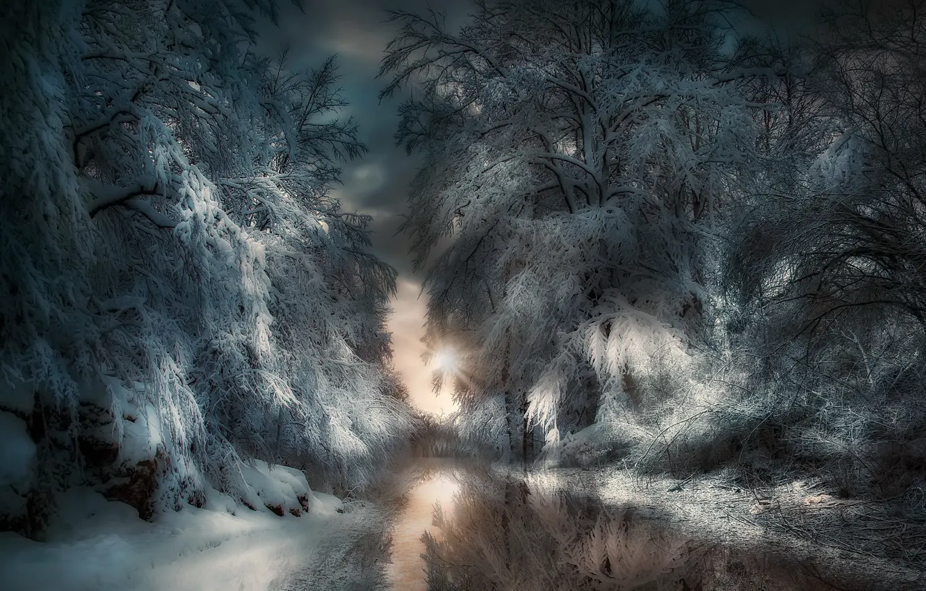 Фото обои зима, лес, ночь, природа, река