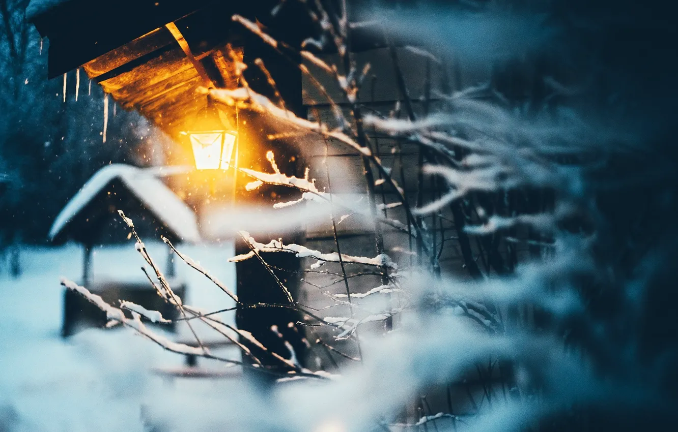 Фото обои зима, свет, снег, ветки, природа, дом, фонарь