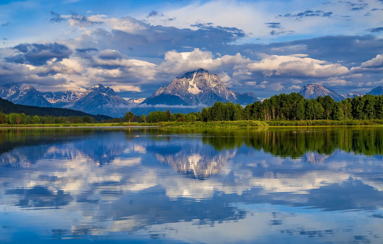 Фото обои лес, облака, деревья, горы, отражение, река, Вайоминг, Wyoming