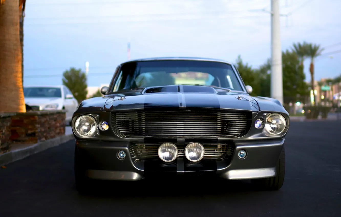 Фото обои Mustang, Ford, Shelby, Форд, Мустанг, Eleanor, GT 500, Grey-Black