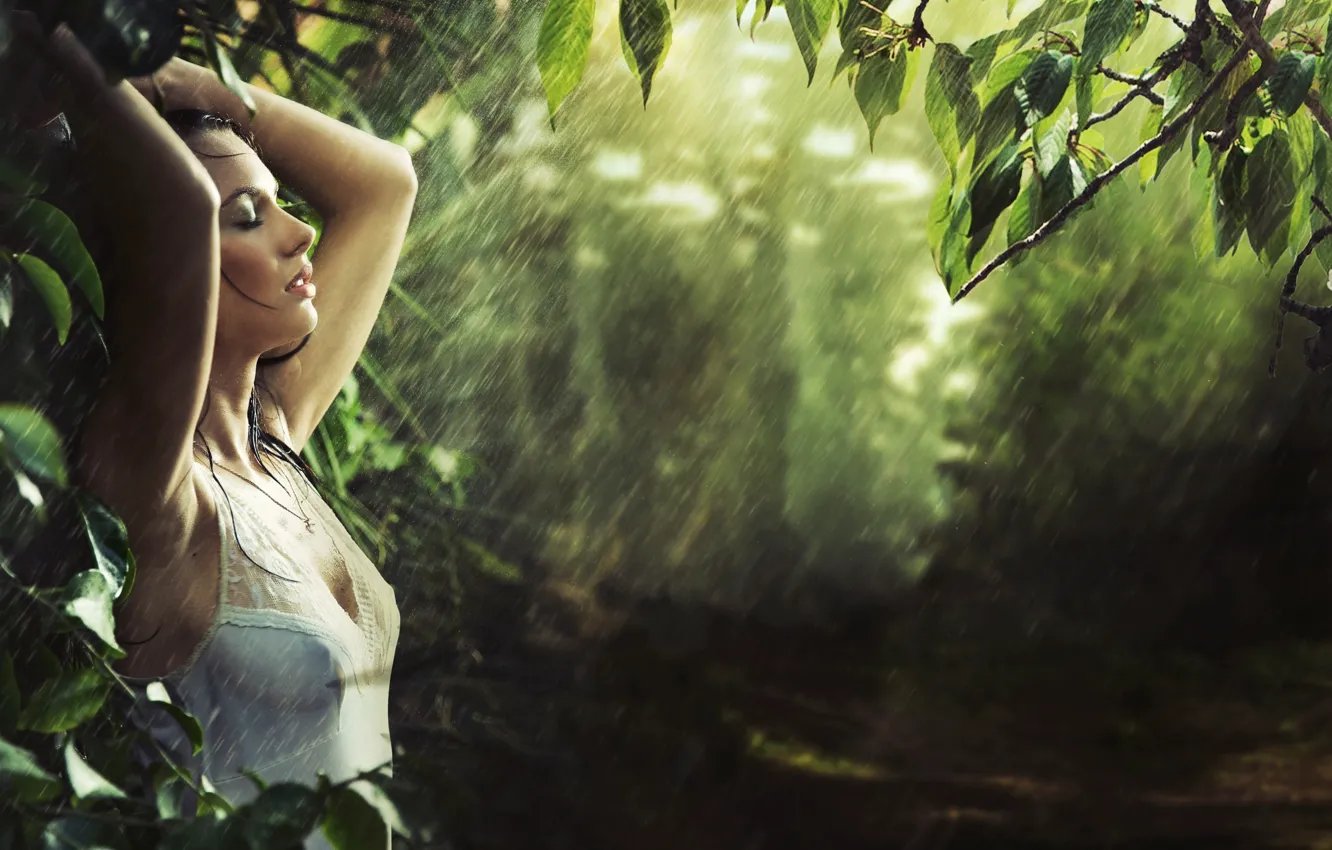Фото обои girl, wet, rain, drops, foliage