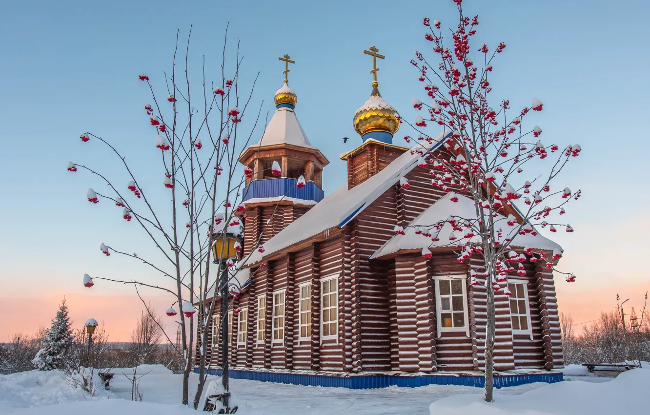 Фото обои зима, снег, пейзаж, природа, церковь, рябина, деревца, Sergey Kaverin