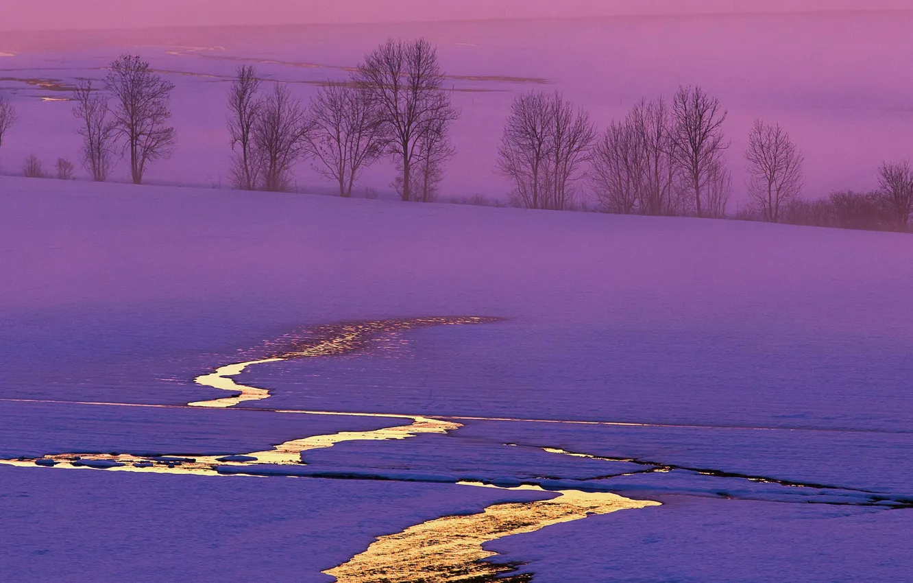 Фото обои зима, поле, снег, деревья, закат, Швейцария