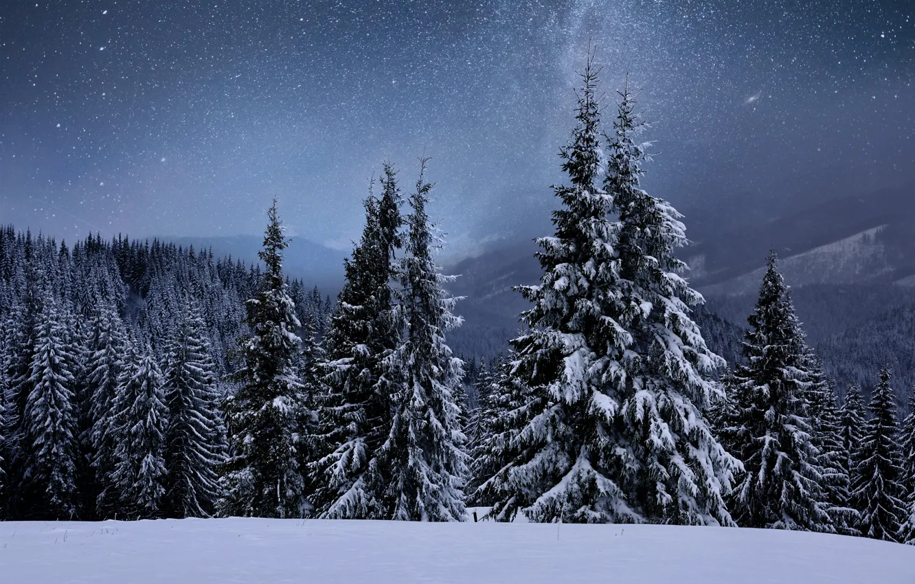 Фото обои зима, снег, деревья, пейзаж, горы, елки, forest, landscape