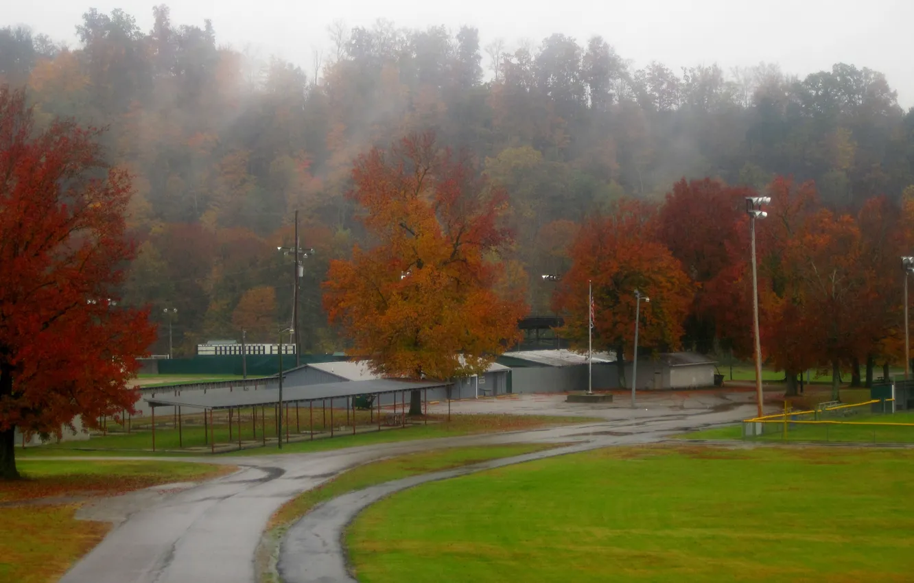 Фото обои Дорога, Туман, Осень, Деревья, Дождь, Fall, Autumn, Rain