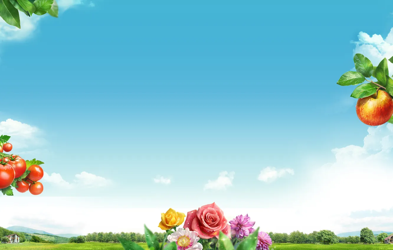 Фото обои небо, облака, цветы, коллаж, яблоко, розы, сад, томат