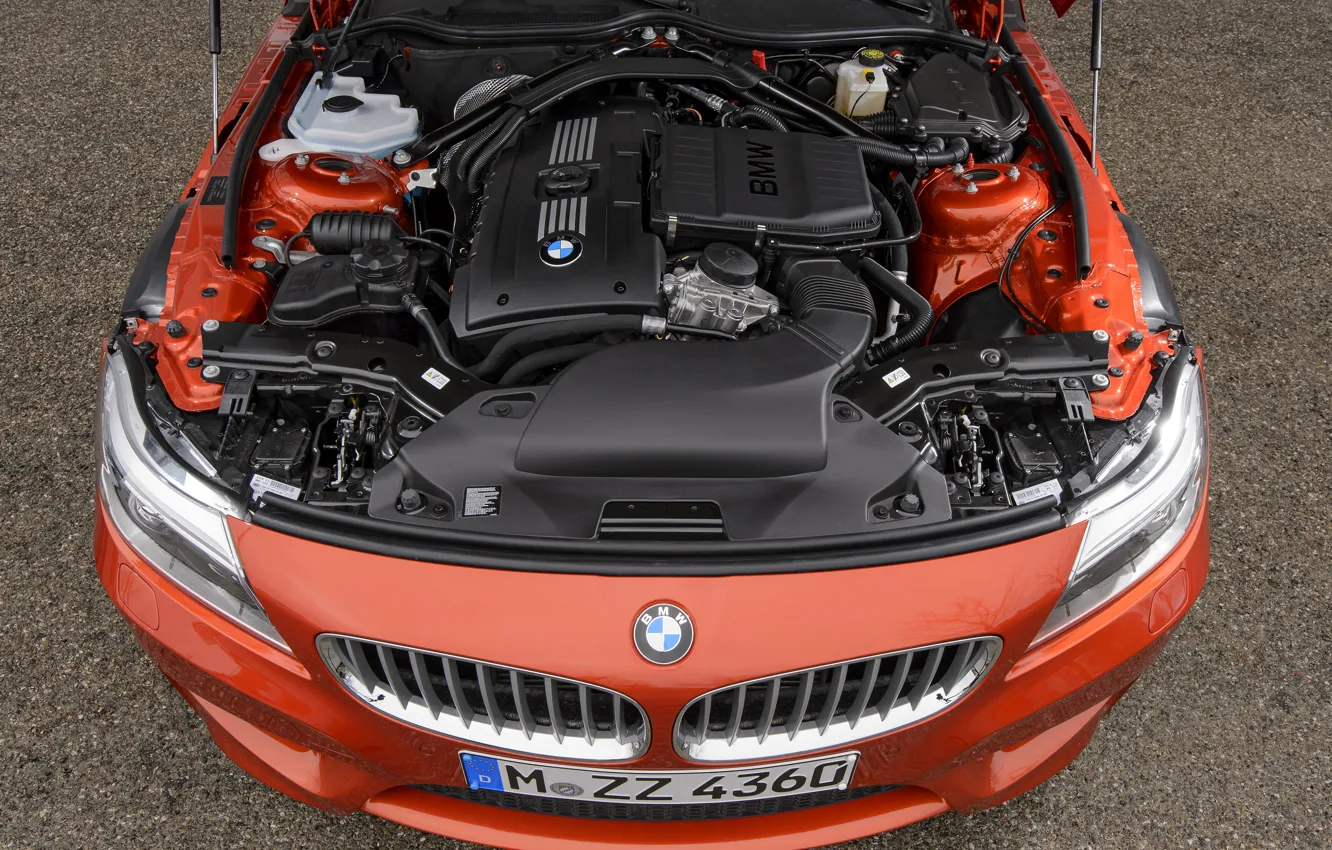Фото обои двигатель, BMW, родстер, решётка, 2013, E89, BMW Z4, Z4