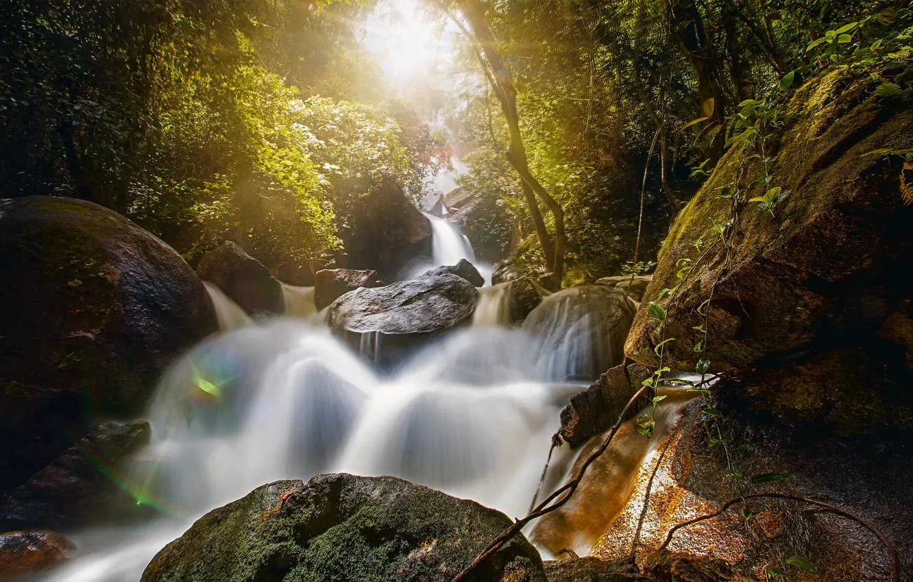 Фото обои лес, камни, водопад, Бразилия, валуны, Brazil, Pernambuco, Пернамбуку