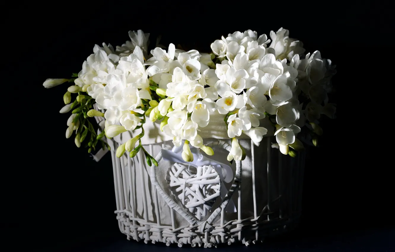 Фото обои букет, чёрный фон, белые цветы, Фрезия