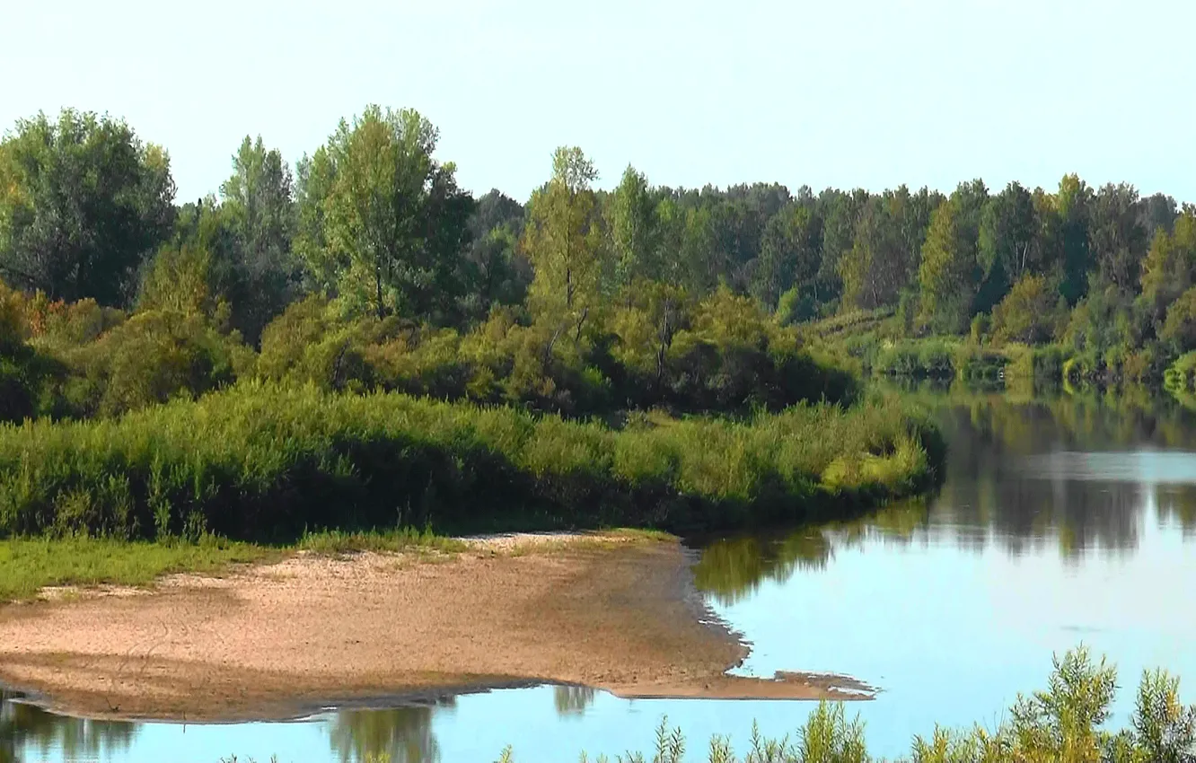 Фото обои песок, Россия, тайга, Сибирь, лес.вода, Река ЯЯ