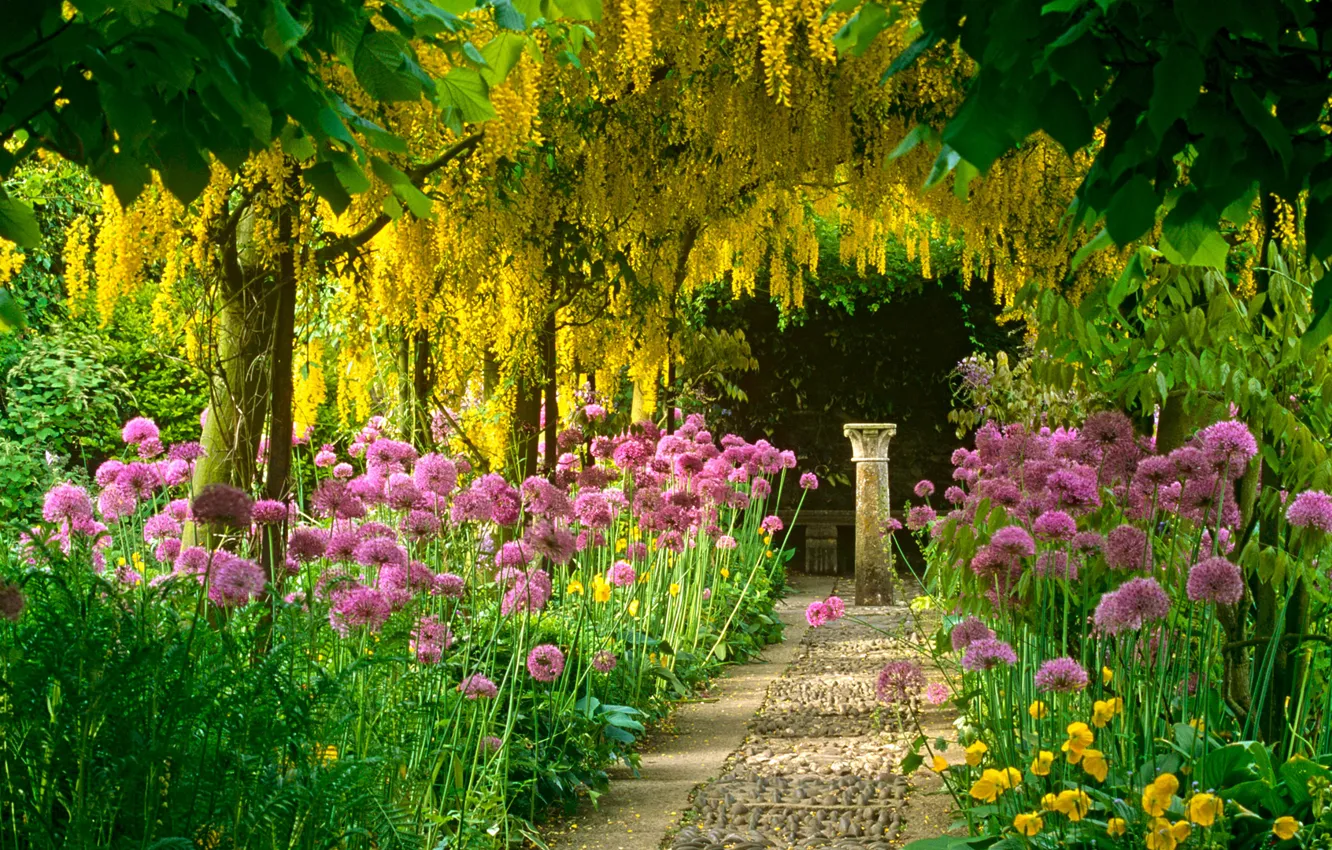 Фото обои цветы, сад, дорожка, колонна, акация