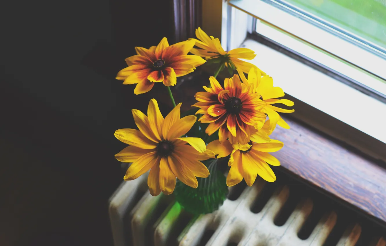 Фото обои цветы, желтые, лепестки, подоконник, батарея