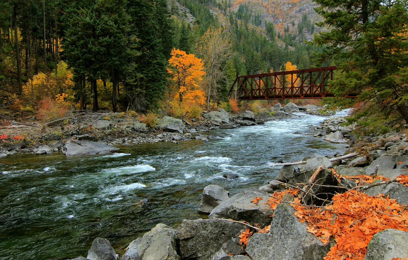 Фото обои осень, лес, горы, мост, река