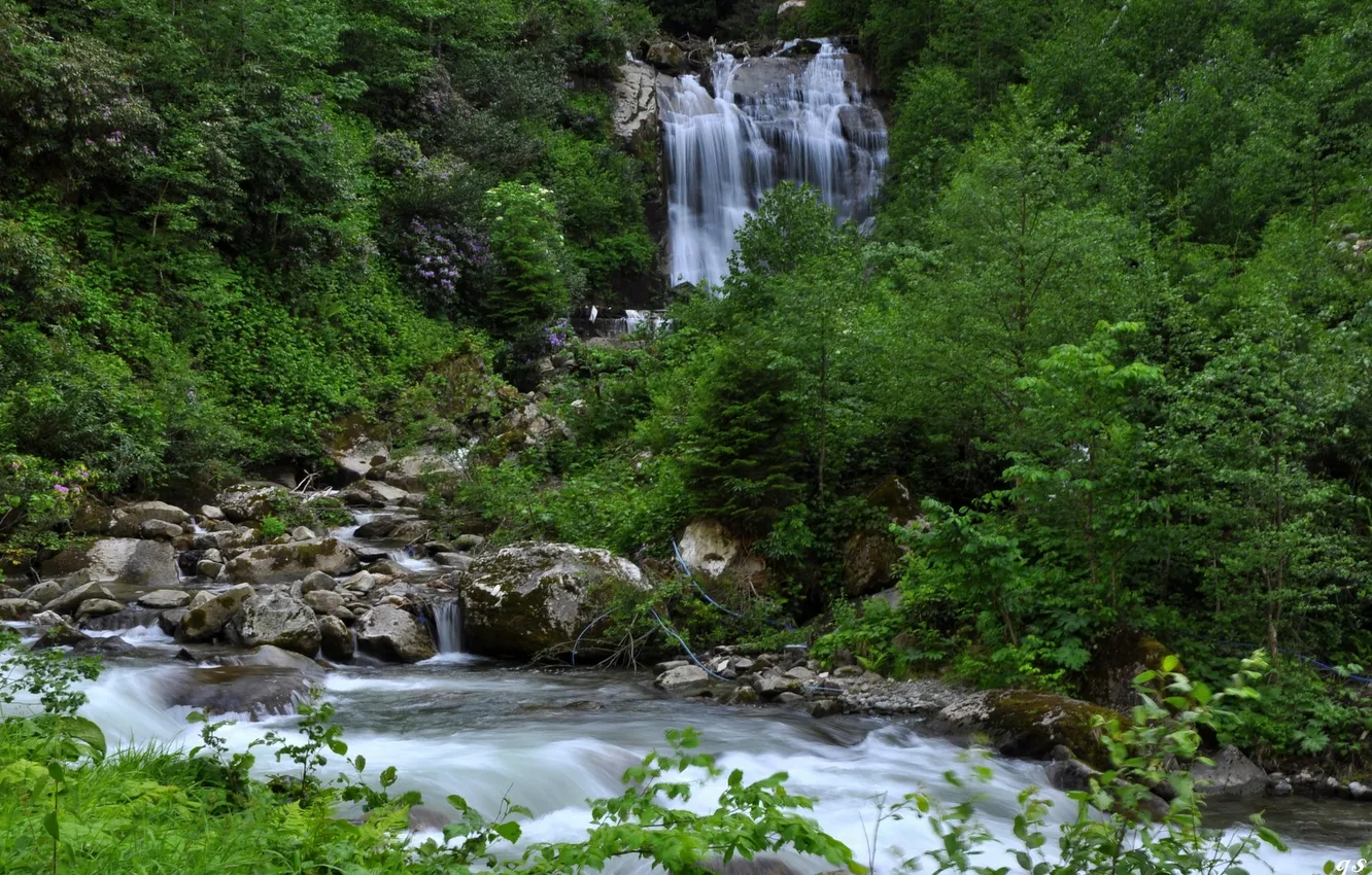 Фото обои лес, река, камни, водопад