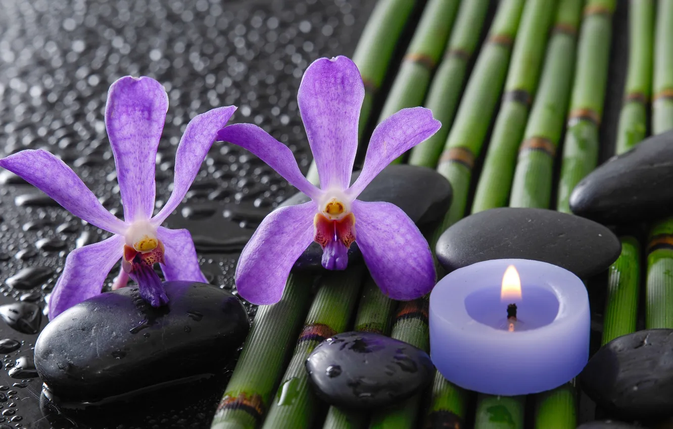 Фото обои капли, цветы, бамбук, орхидеи, спа камни