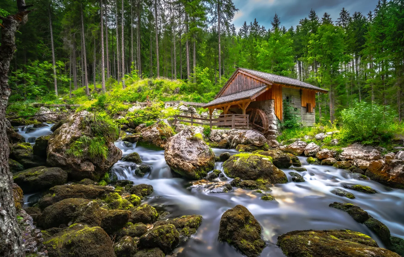 Фото обои лес, деревья, ручей, камни, Австрия, речка, водяная мельница, Austria