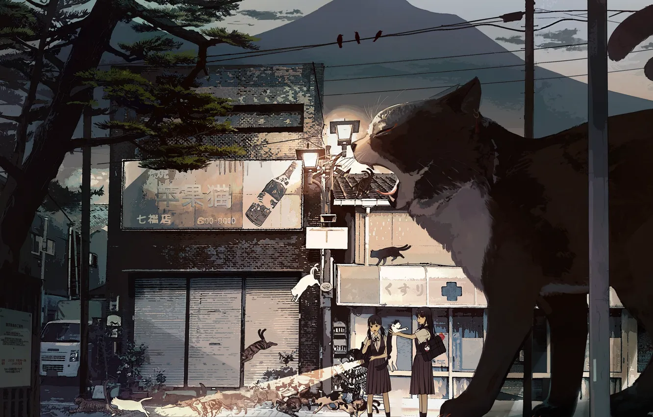 Фото обои кот, кошки, девушки, улица, гигант