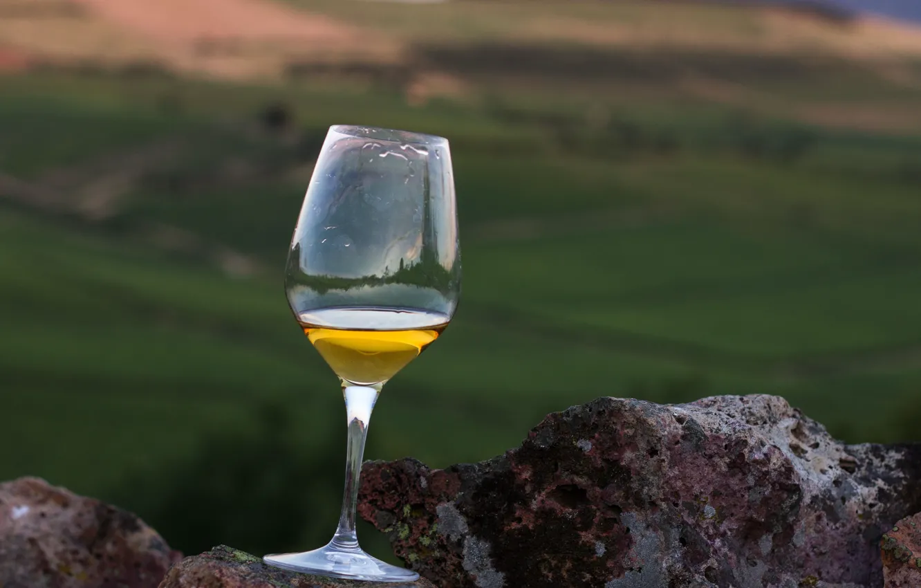Фото обои glass, wine, rocks, valley, vineyards, white wine