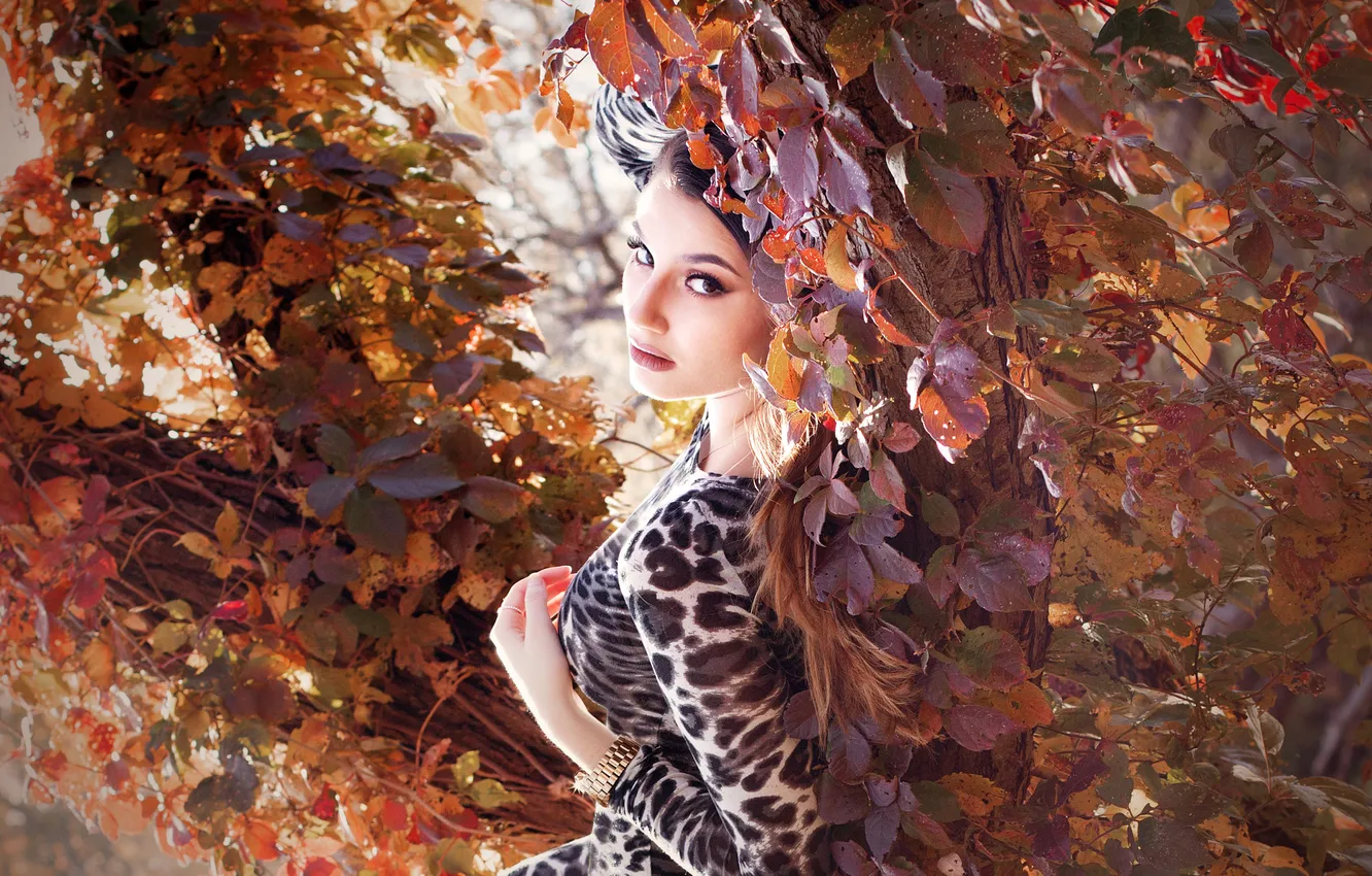 Фото обои осень, взгляд, листья, девушка, природа, дерево, платье, брюнетка