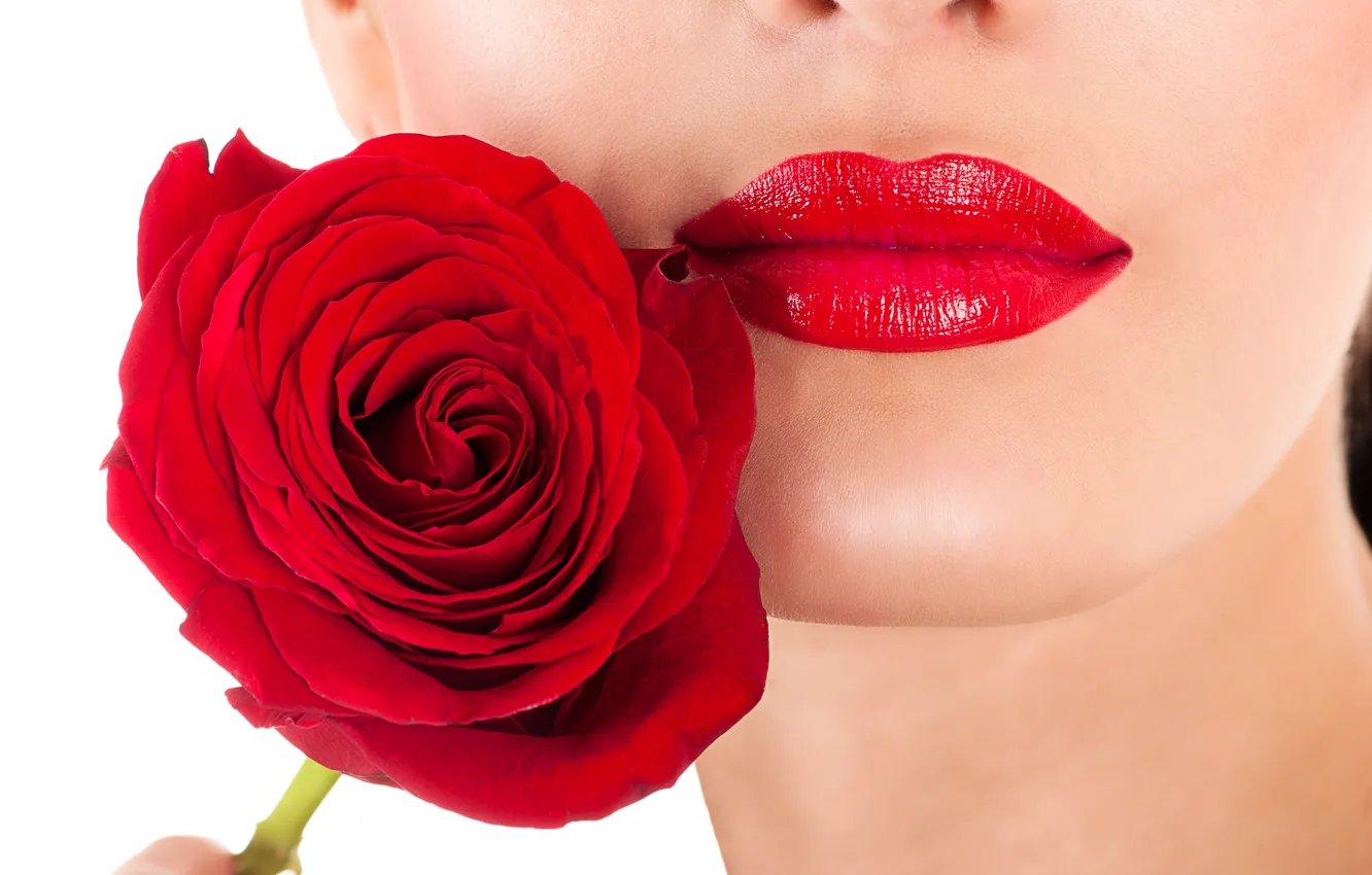 Фото обои цветок, девушка, лицо, роза, макияж, губы