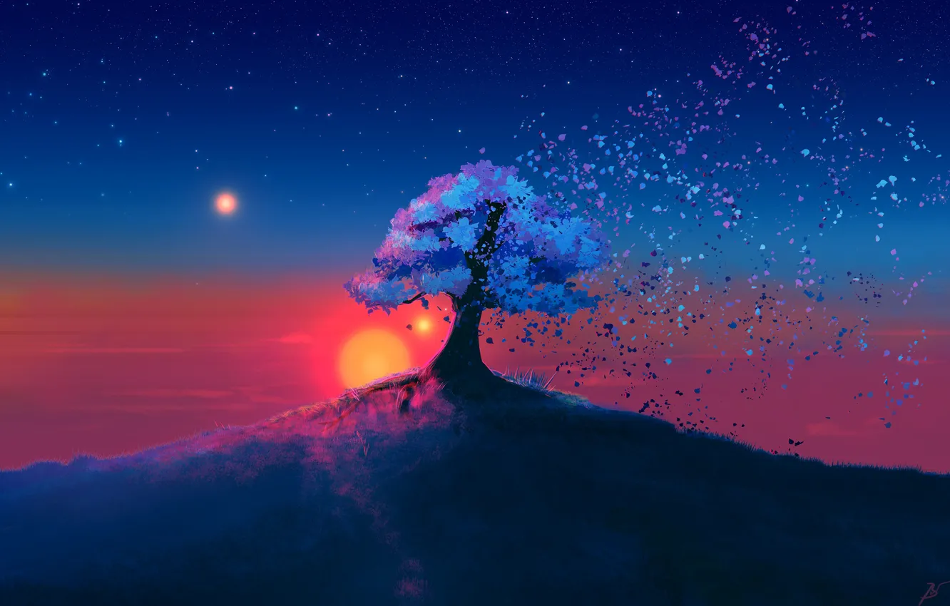 Фото обои Закат, Солнце, Небо, Дерево, Звезды, Листья, Fantasy, Art