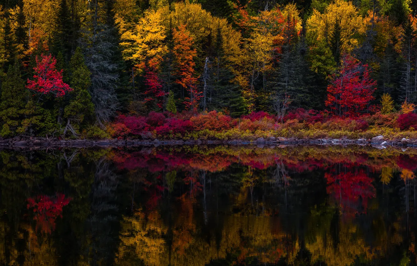 Фото обои осень, лес, деревья, озеро, отражение, камни, берег, водоем